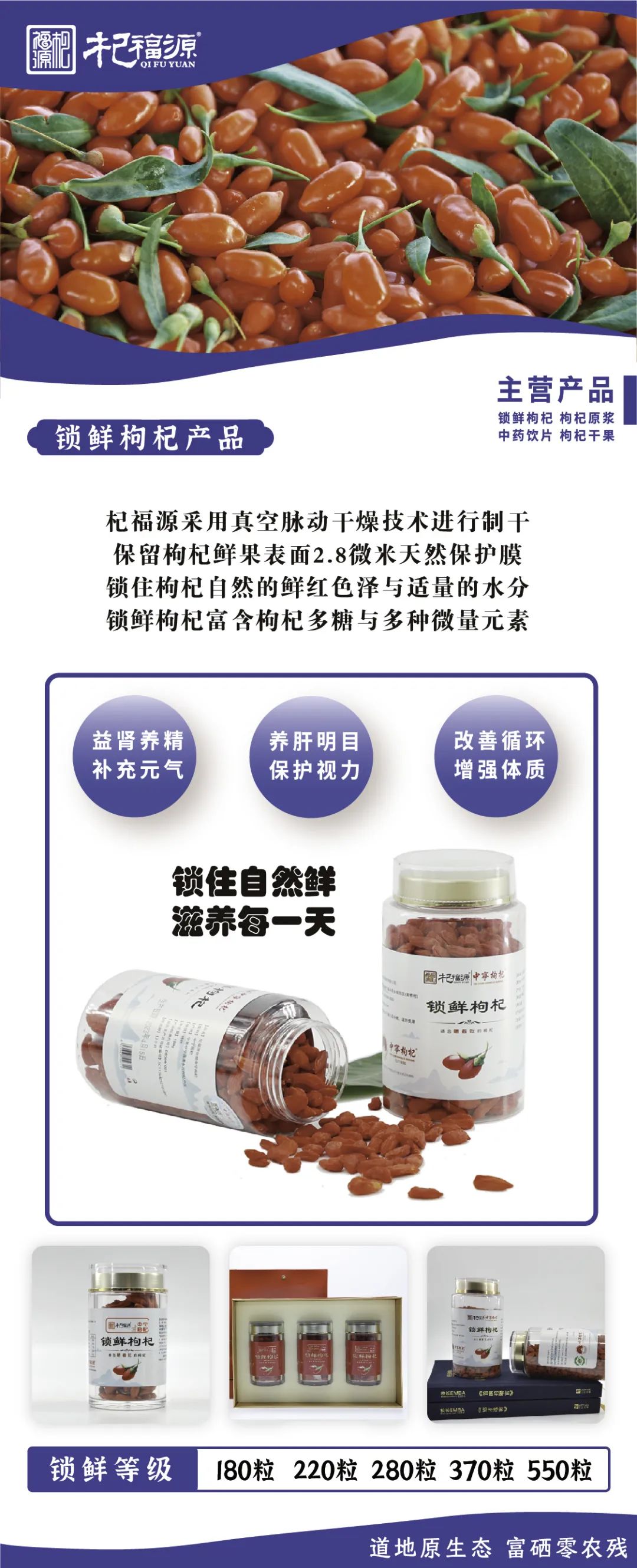 杞福源：二十余年匠心耕耘，引领枸杞产业创新与卓越