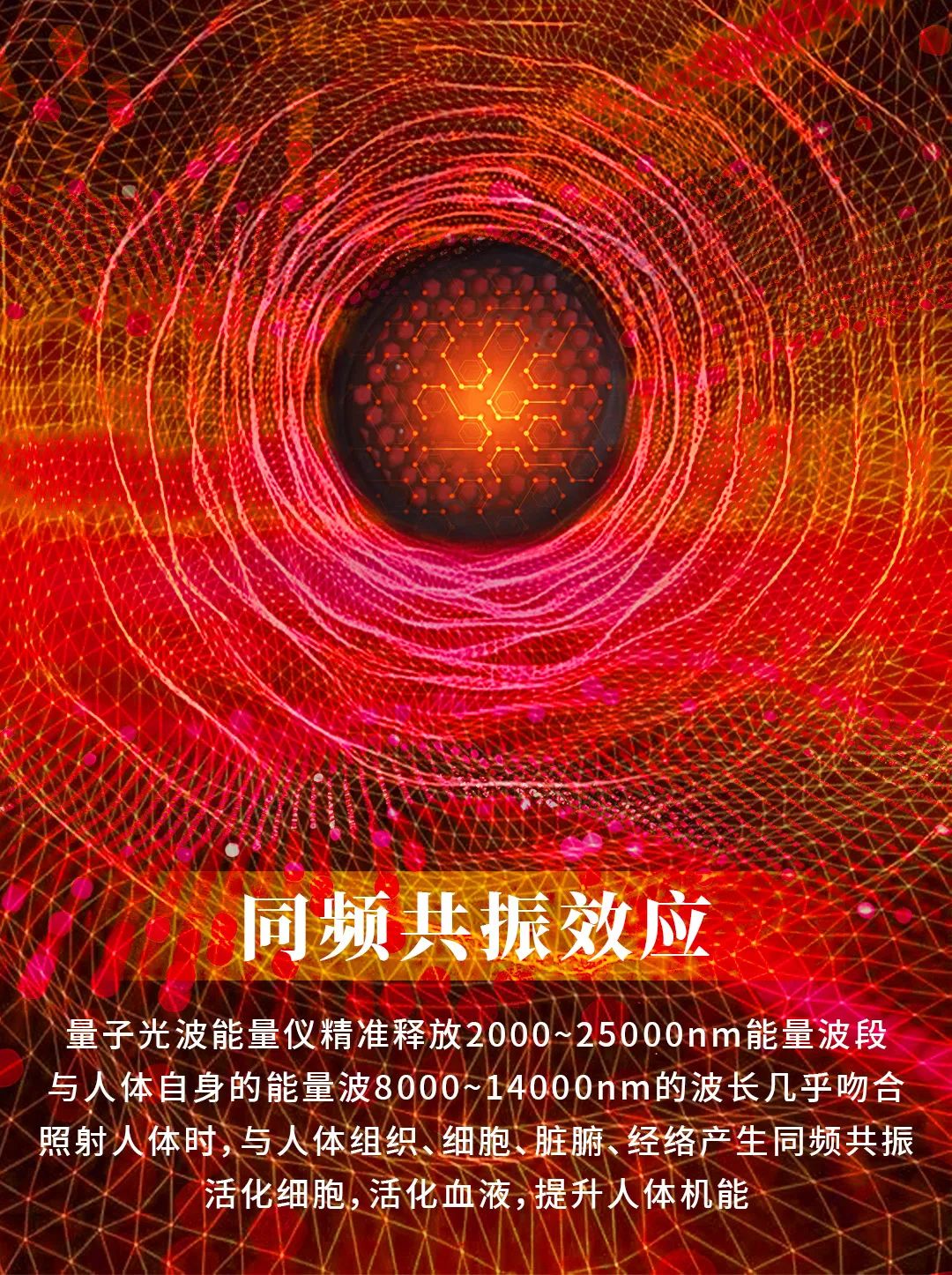 【重点展商】九紫辰—让科技养生走进亿万家庭！
