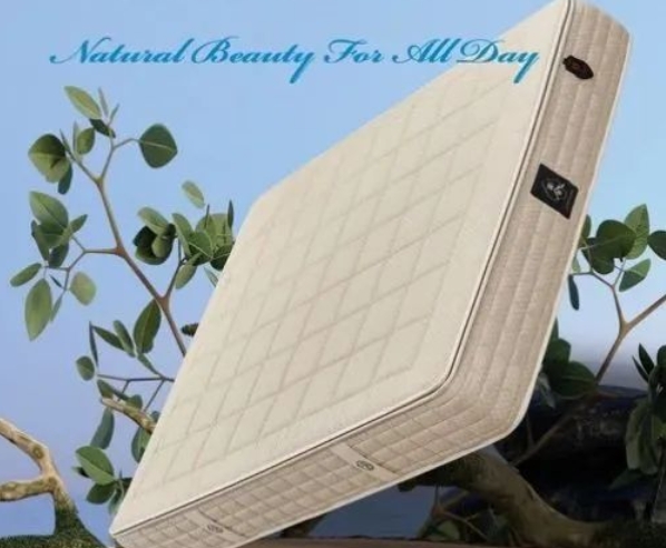  【重点展商】谱舍寝具——舒眠护脊，睡出健康身体！ 