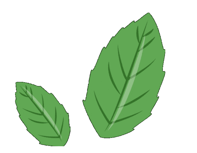 【重点展商】圣羽草亮相HCE广州大健康展,开拓药食同源新领域!