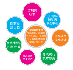 【重点展商】桐晖药业——行业翘楚,开启医药服务全新篇章!