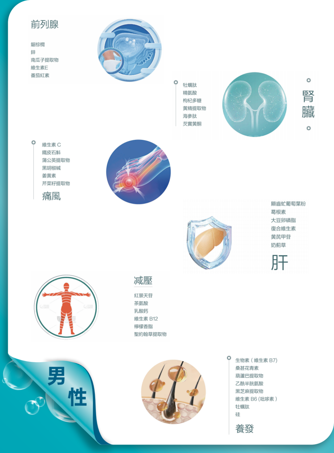 【重点展商】康博士国际有限公司—专业保健品定制服务商
