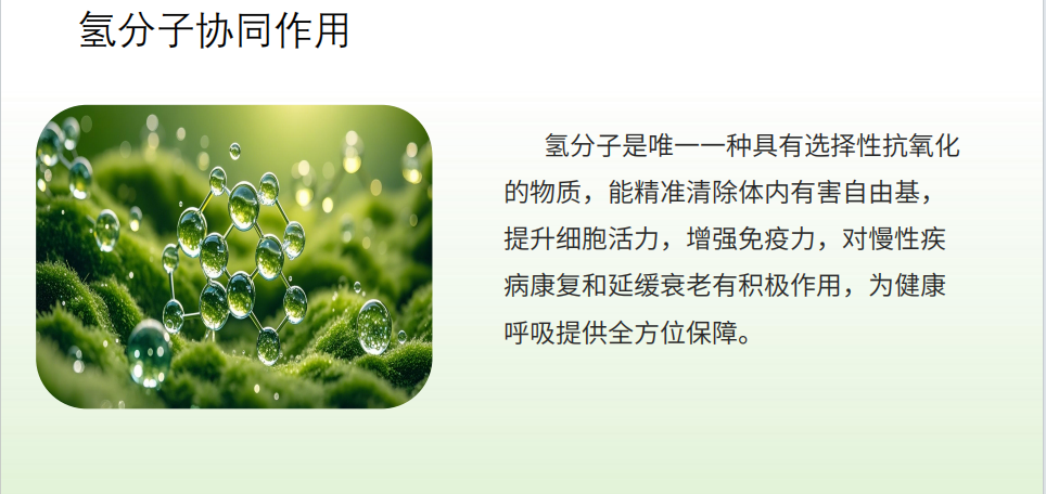 【重点展商】惠衍负氧离子机：高浓度负氧离子释放，畅销森林级清新呼吸！