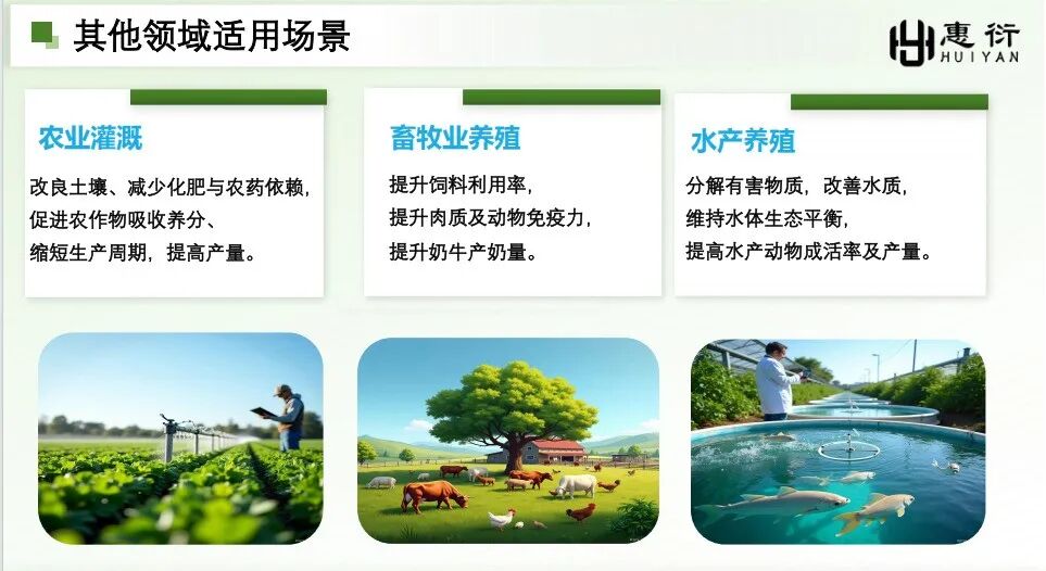 【重点展商】惠衍负氧离子机：高浓度负氧离子释放，畅销森林级清新呼吸！